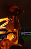 entwine8.jpg
