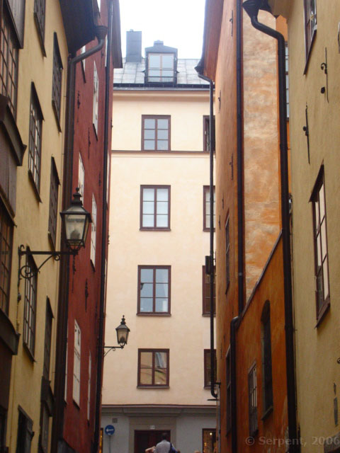 DSC00423