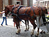 DSC00395.JPG