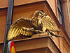 DSC00397.JPG