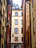 DSC00423.JPG