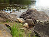 DSC00569.JPG