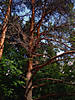 DSC00578.JPG