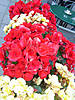 DSC00607.JPG