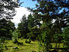 DSC00611.JPG