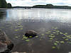 DSC00612_actual.JPG
