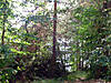 DSC00653.JPG