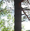 DSC00657.jpg