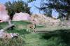 WildlifSafari_033.JPG