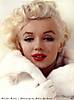 Marilyn1.jpg