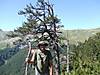 dscf1548.jpg