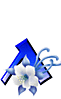 A10.gif
