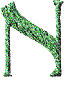N.gif