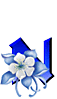 N9.gif