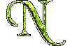 zn.gif