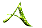 za