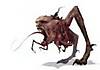 scuttler.JPG