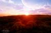 gatesofdawn_700.jpg