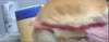 ham-sandwitch-a00.jpg