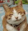 smile-3.jpg