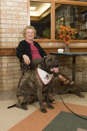 Dogs_9645