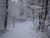 snow01.jpg