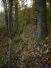 trail.jpg