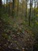 trail02.jpg
