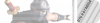 ryuhayabusa.png
