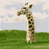 ilm1xp.gif