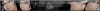 cat_banner900x100.gif