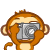 Monkey_23_.gif