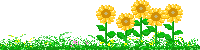 Bloemen