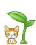 Poesje.gif