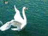 DSCF5768.jpg