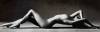 1400-14789_Nude-Reclining-Posters.jpg