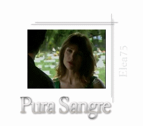 Purasangremedalllafinal