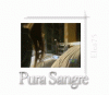 Purasangrecap_111_inventario.gif