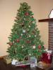 DSC00171_Medium_.JPG