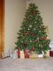 DSC00241_Medium_.JPG