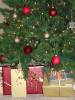 DSC00242_Medium_.JPG