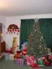 DSC00243_Medium_.JPG
