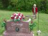 DSC01385_Medium_.JPG