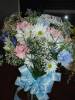DSC01754_Medium_.JPG