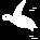 ms_yuikami_turtle.gif