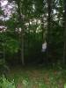 DSC01420_Medium_.JPG