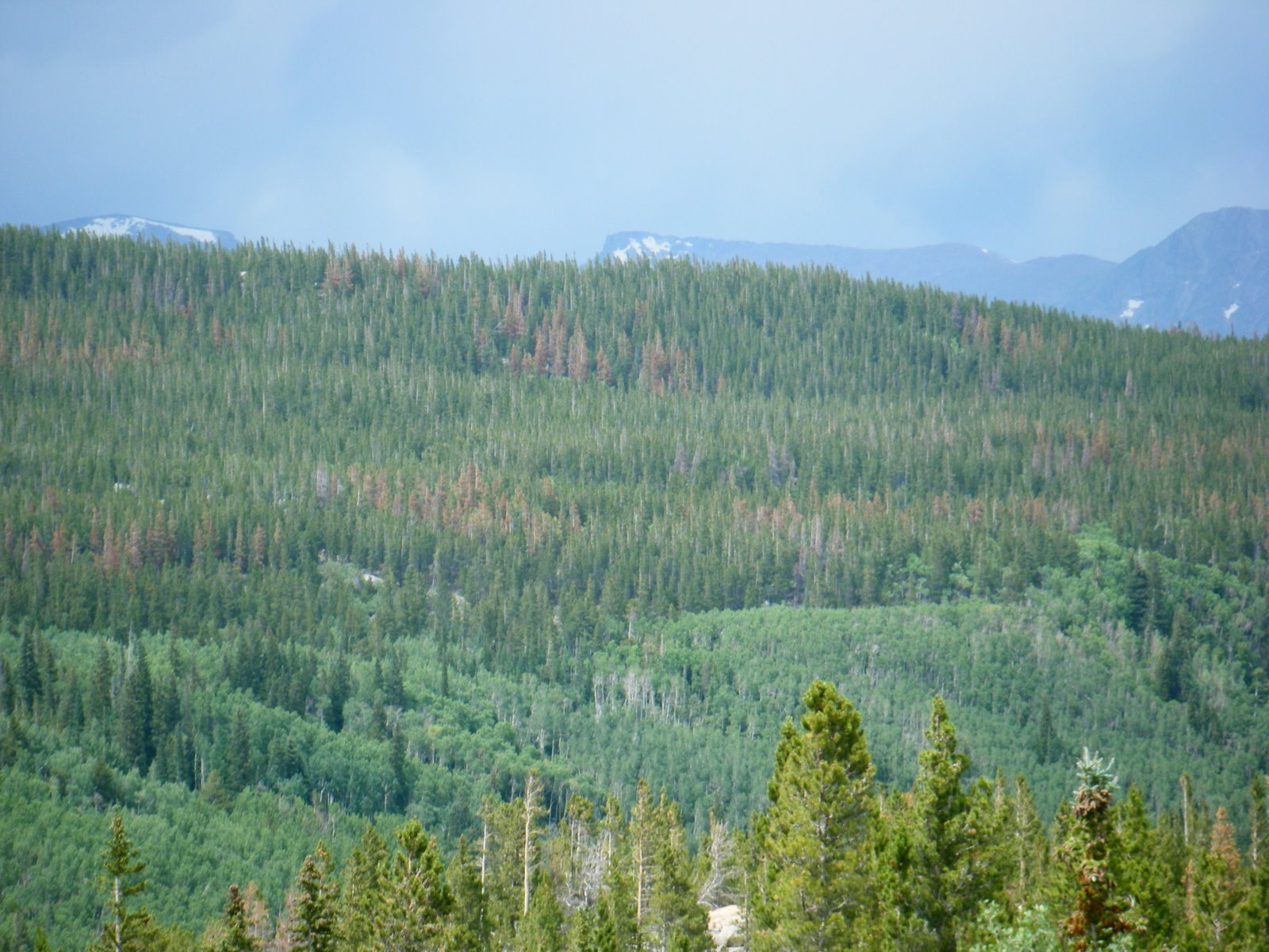 2008_0720Boulder0185