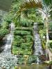 DSC01830_Medium_.JPG