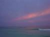 DSC01902_Medium_.JPG
