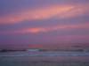 DSC01903_Medium_.JPG